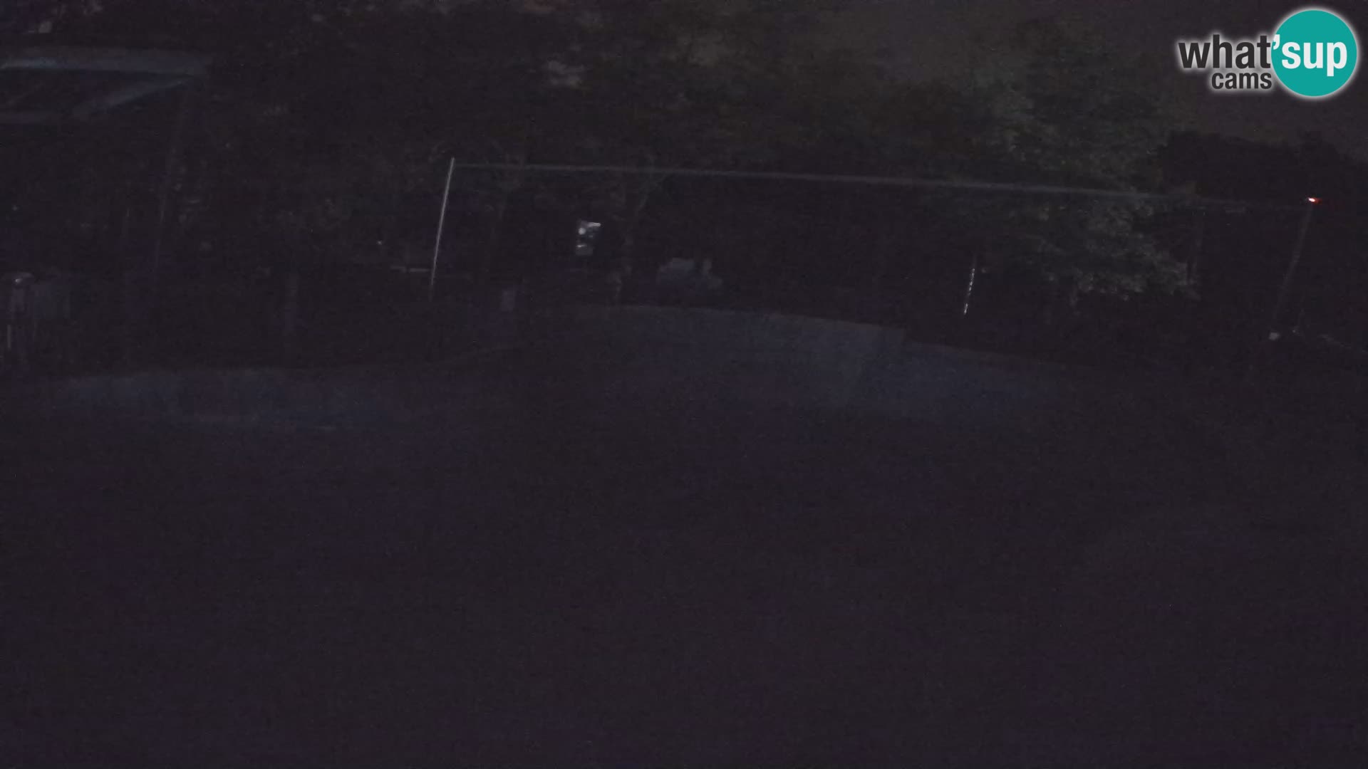 Zoo Zagreb – Kalifornijski morski lav