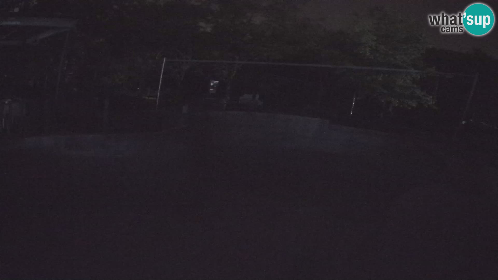 Zoo Zagreb – Kalifornijski morski lav