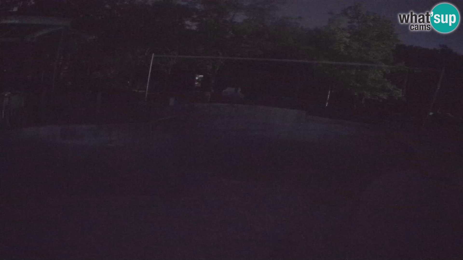 Zoo Zagreb – Kalifornijski morski lav