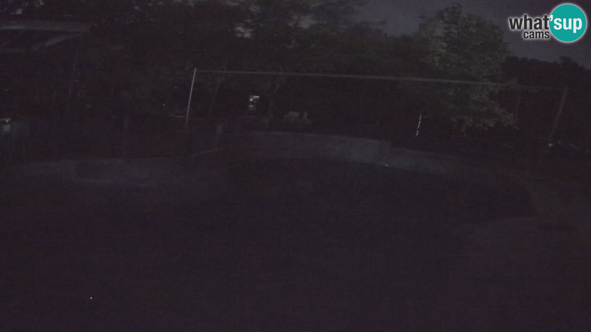 Zoo Zagreb – Kalifornijski morski lav
