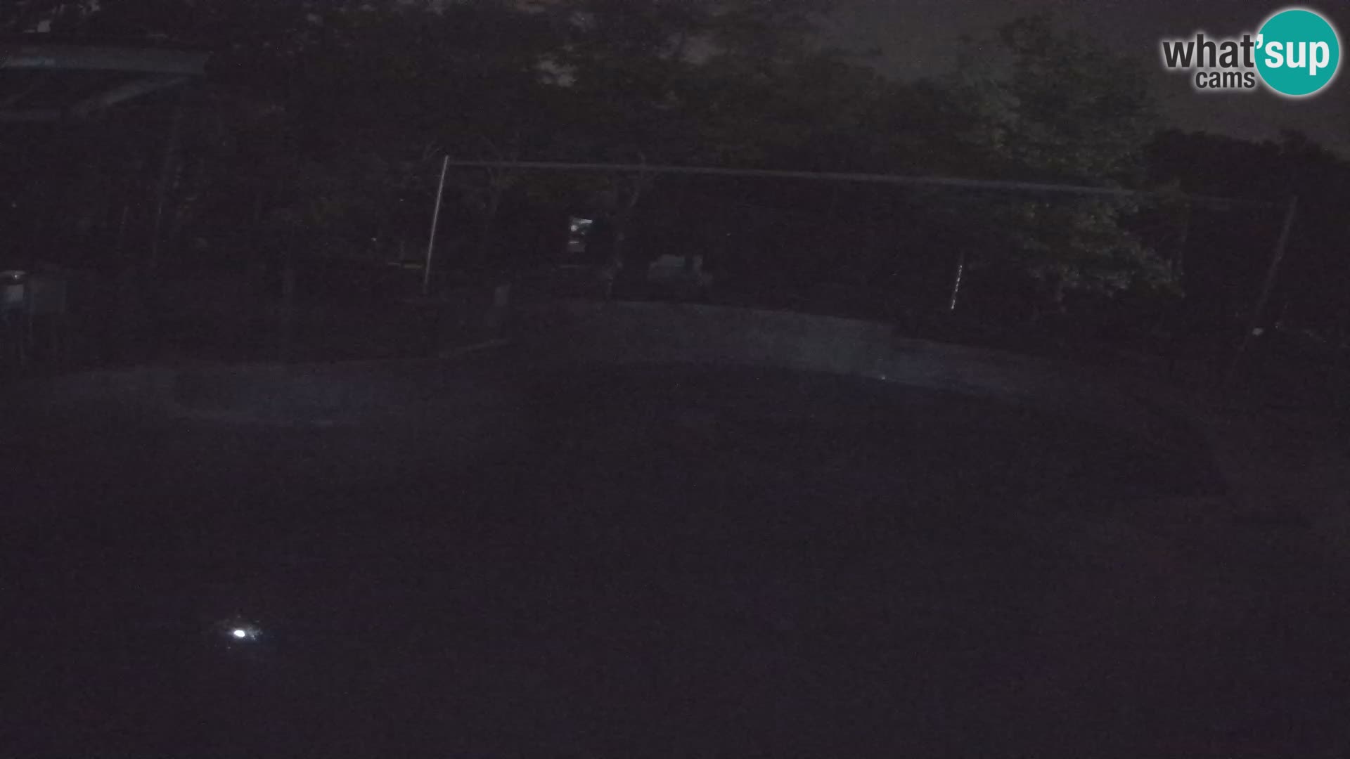 Zoo Zagreb – Kalifornijski morski lav