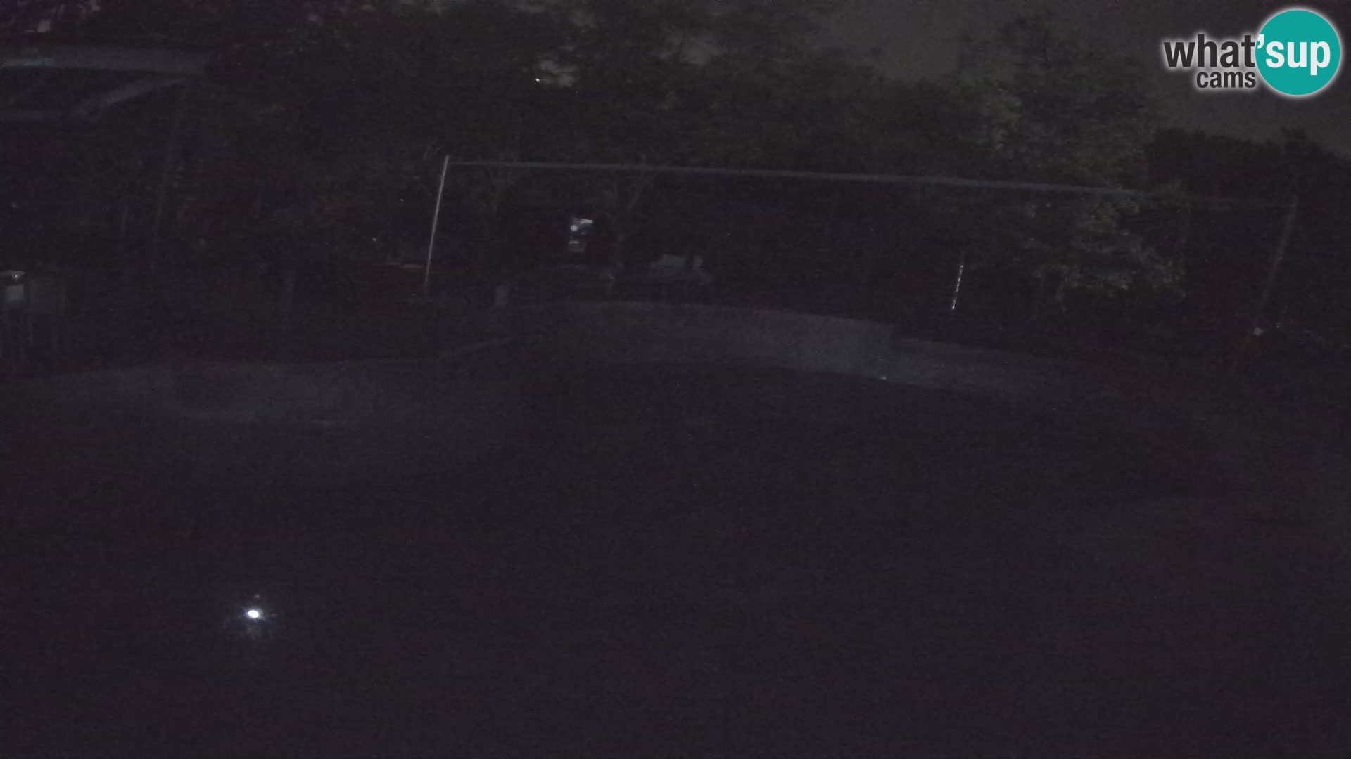 Zoo Zagreb – Kalifornijski morski lav
