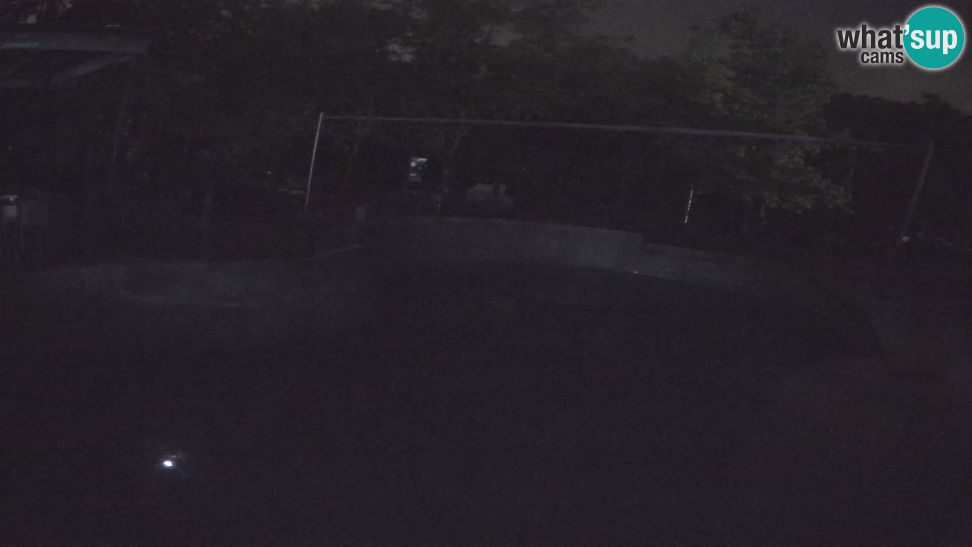 Zoo Zagreb – Kalifornijski morski lav