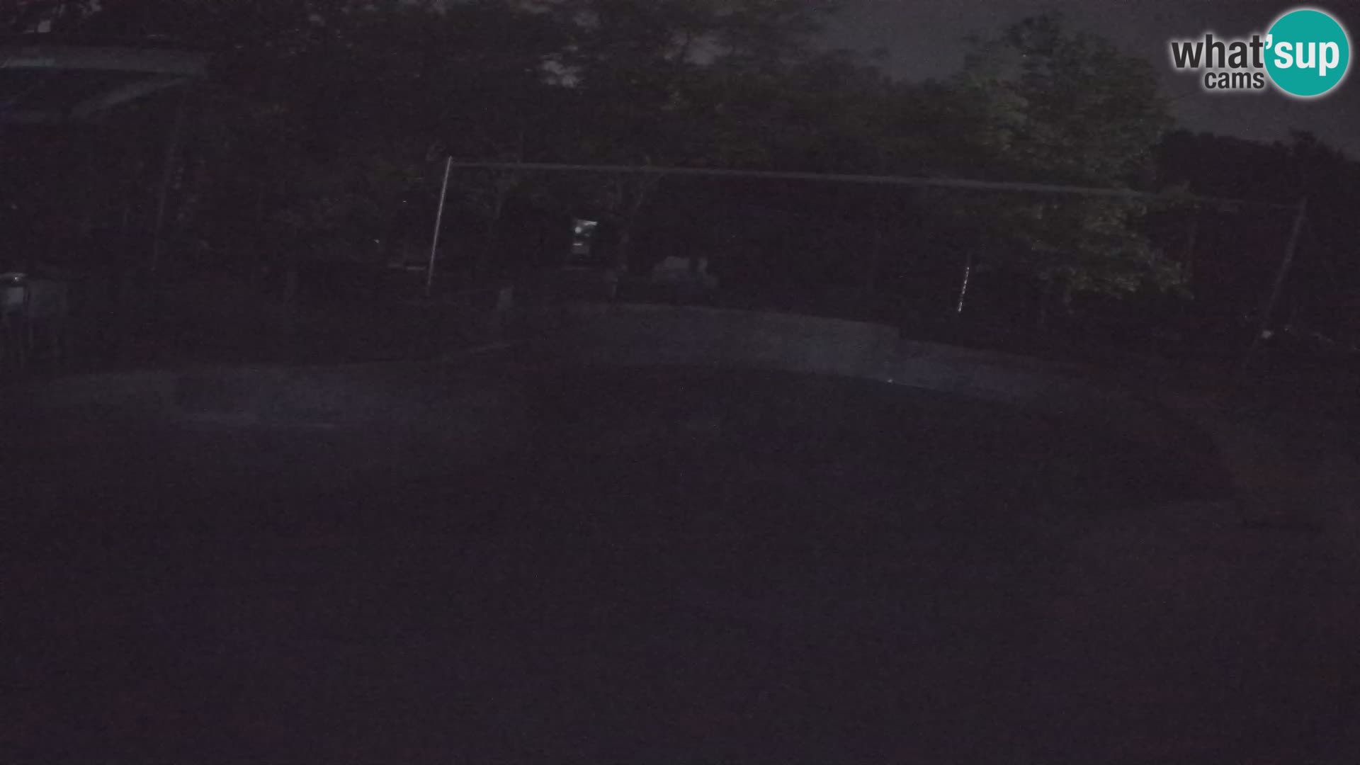 Zoo Zagreb – Kalifornijski morski lav
