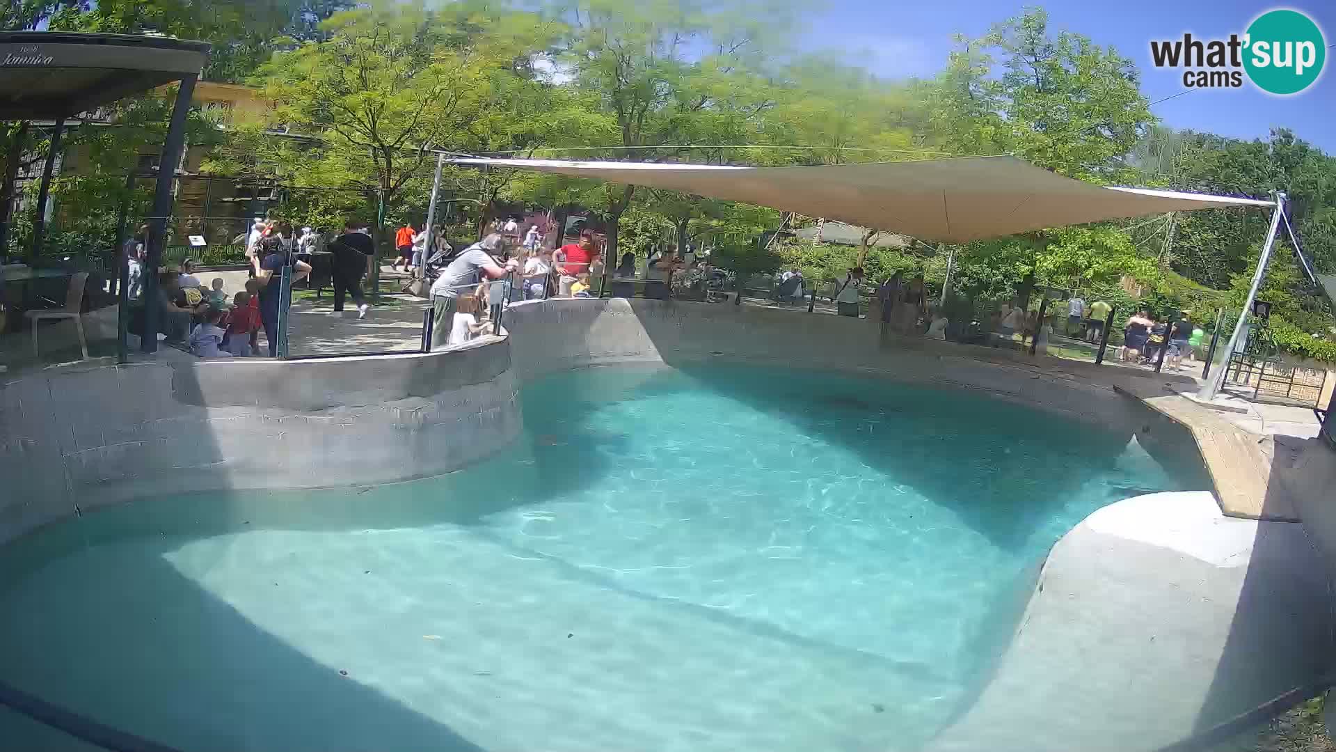 Zoo Zagreb – Otarie de Californie