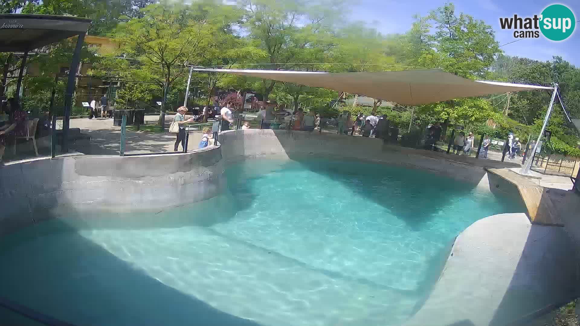 Zoo Zagreb – California Sea Lion
