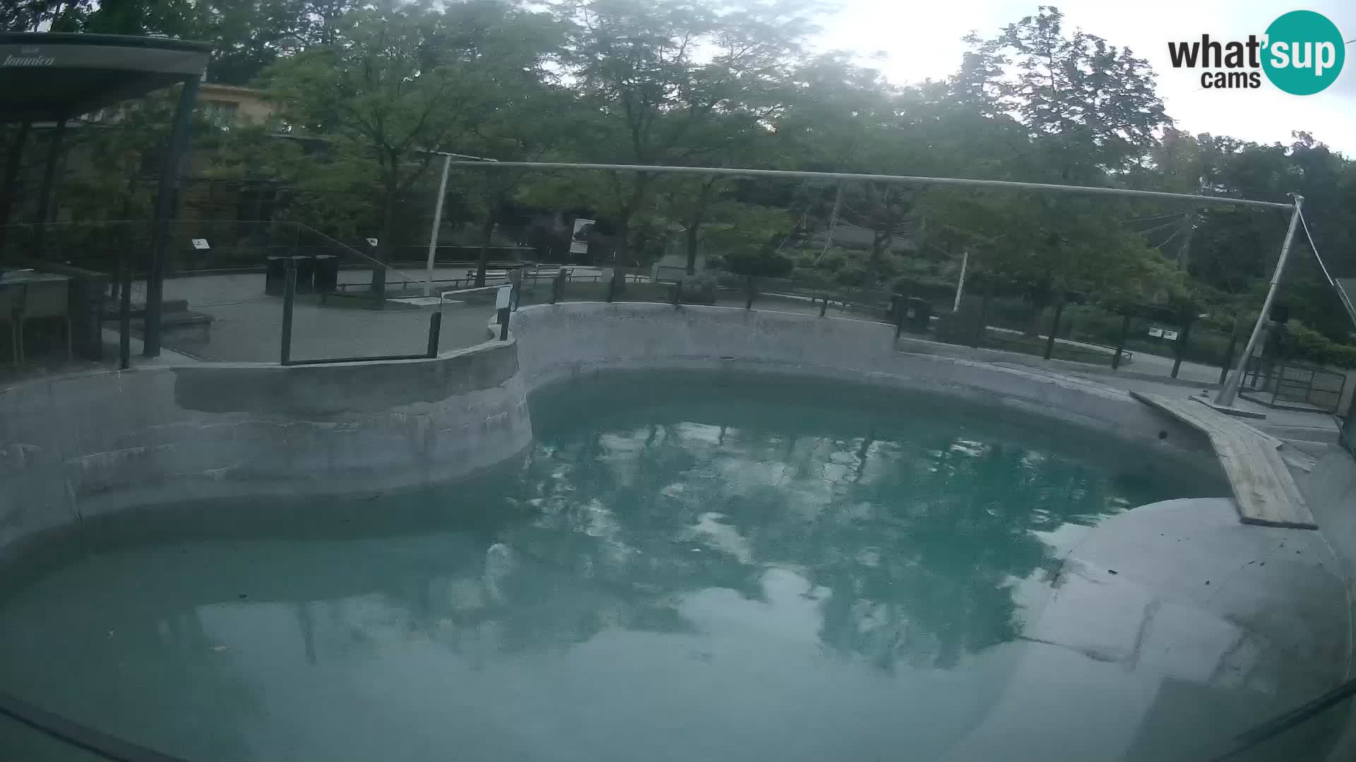 Zoo Zagreb – Kalifornijski morski lav