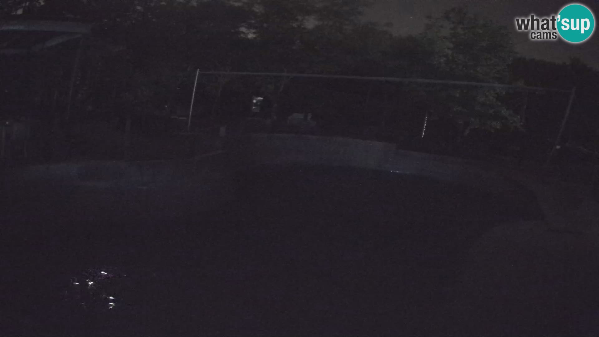 Zoo Zagreb – Kalifornischer Seelöwe