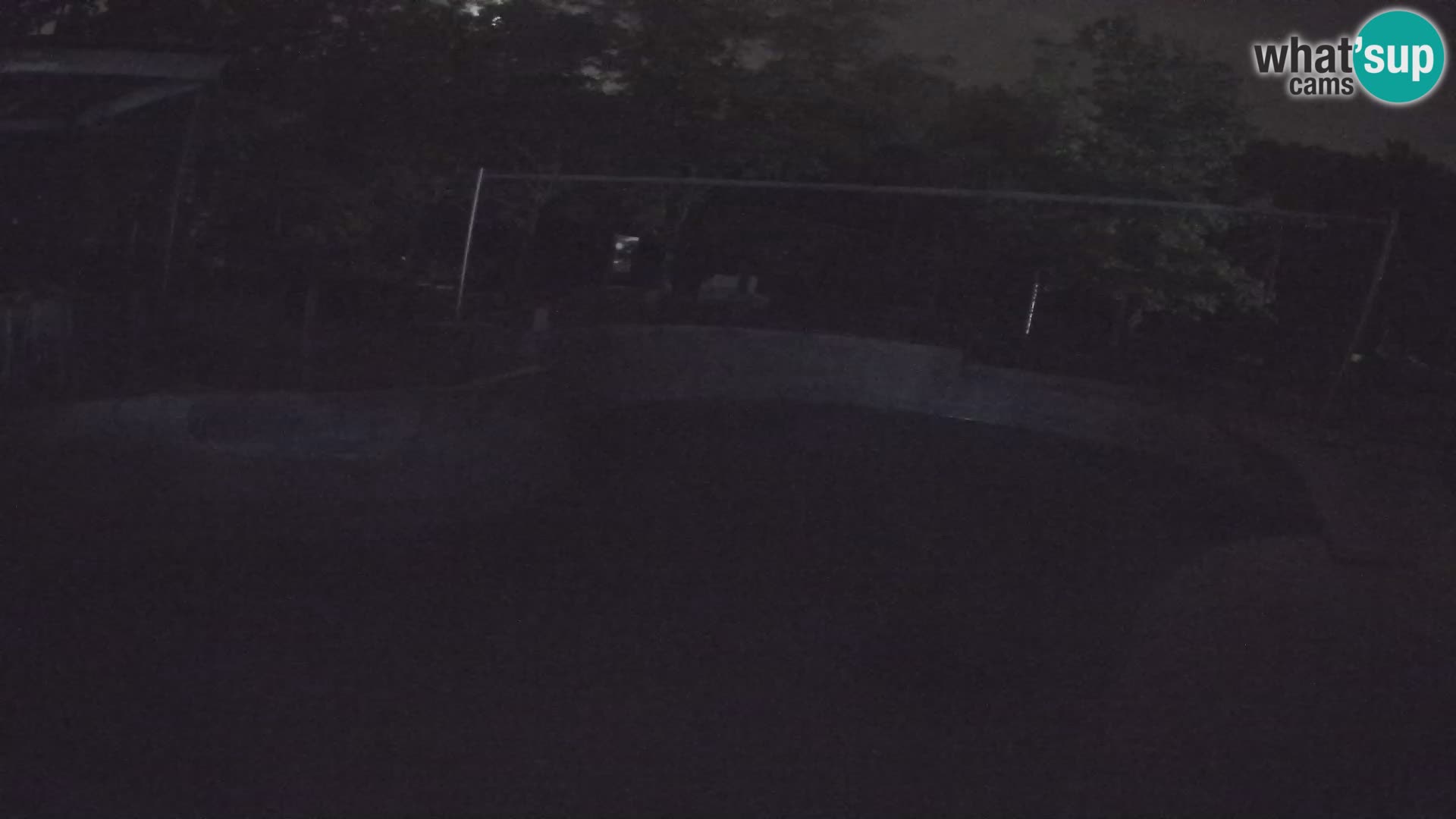 Zoo Zagreb – Kalifornijski morski lev