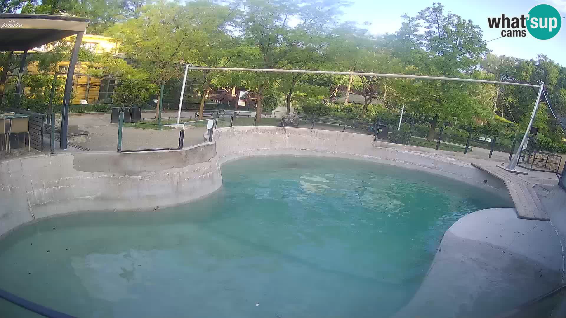 Zoo Zagreb – Kalifornischer Seelöwe
