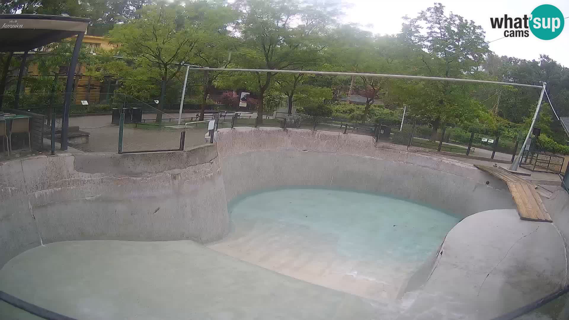 Zoo Zagreb – Kalifornijski morski lav