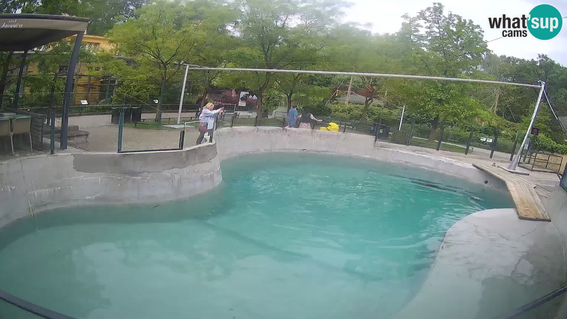 Zoo Zagreb – Kalifornischer Seelöwe