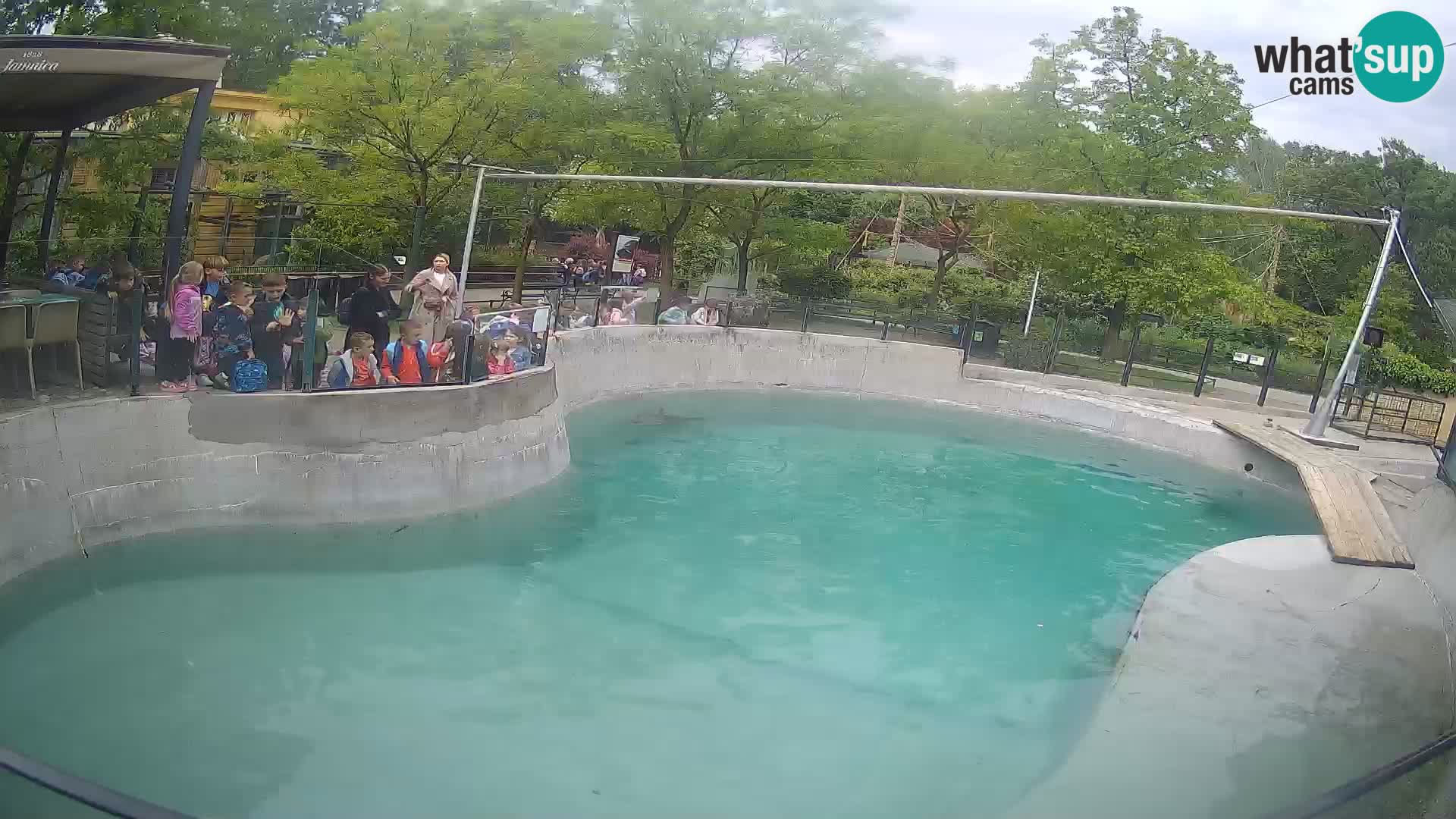 Zoo Zagreb – Otarie de Californie