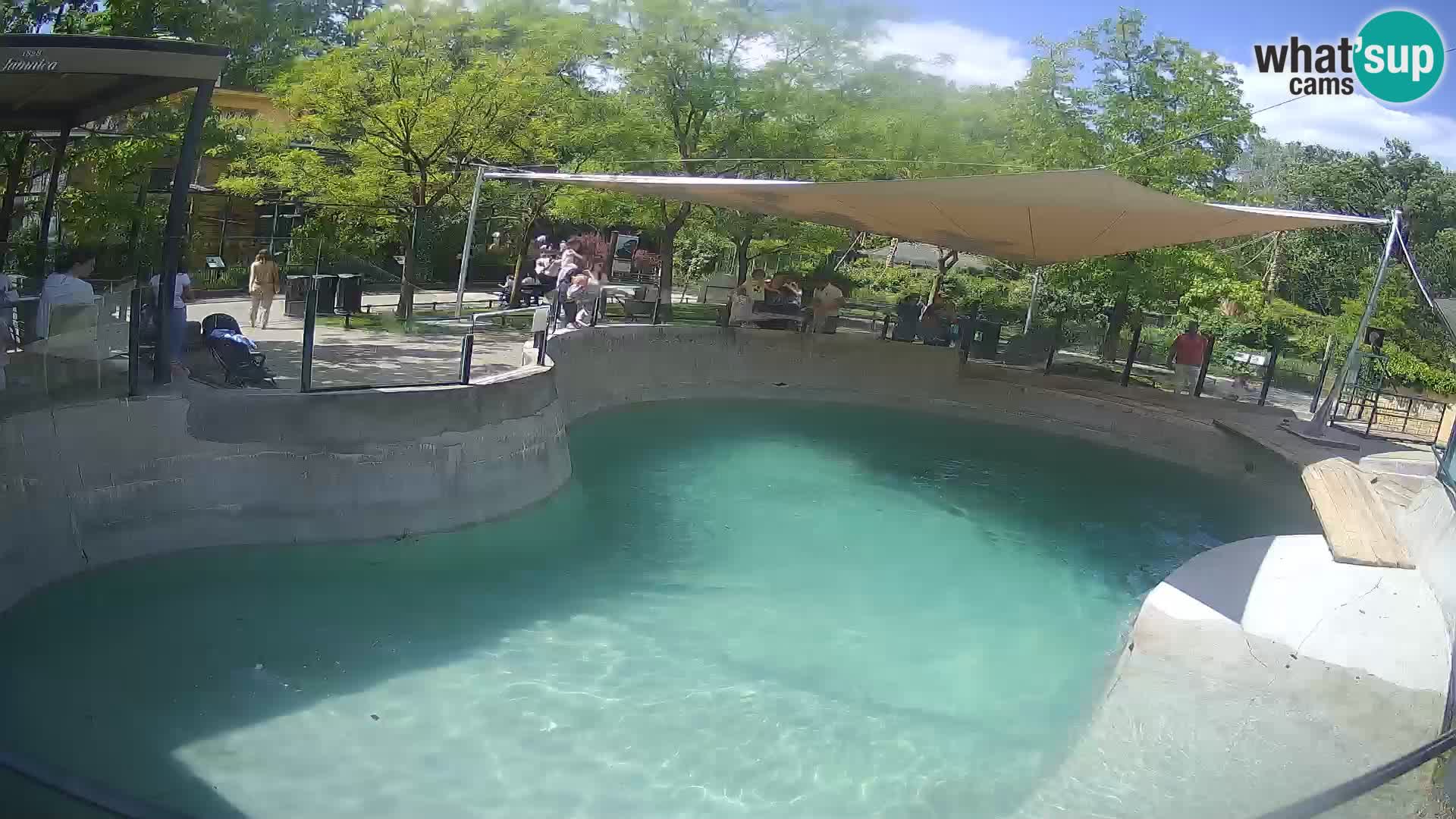 Zoo Zagreb – California Sea Lion