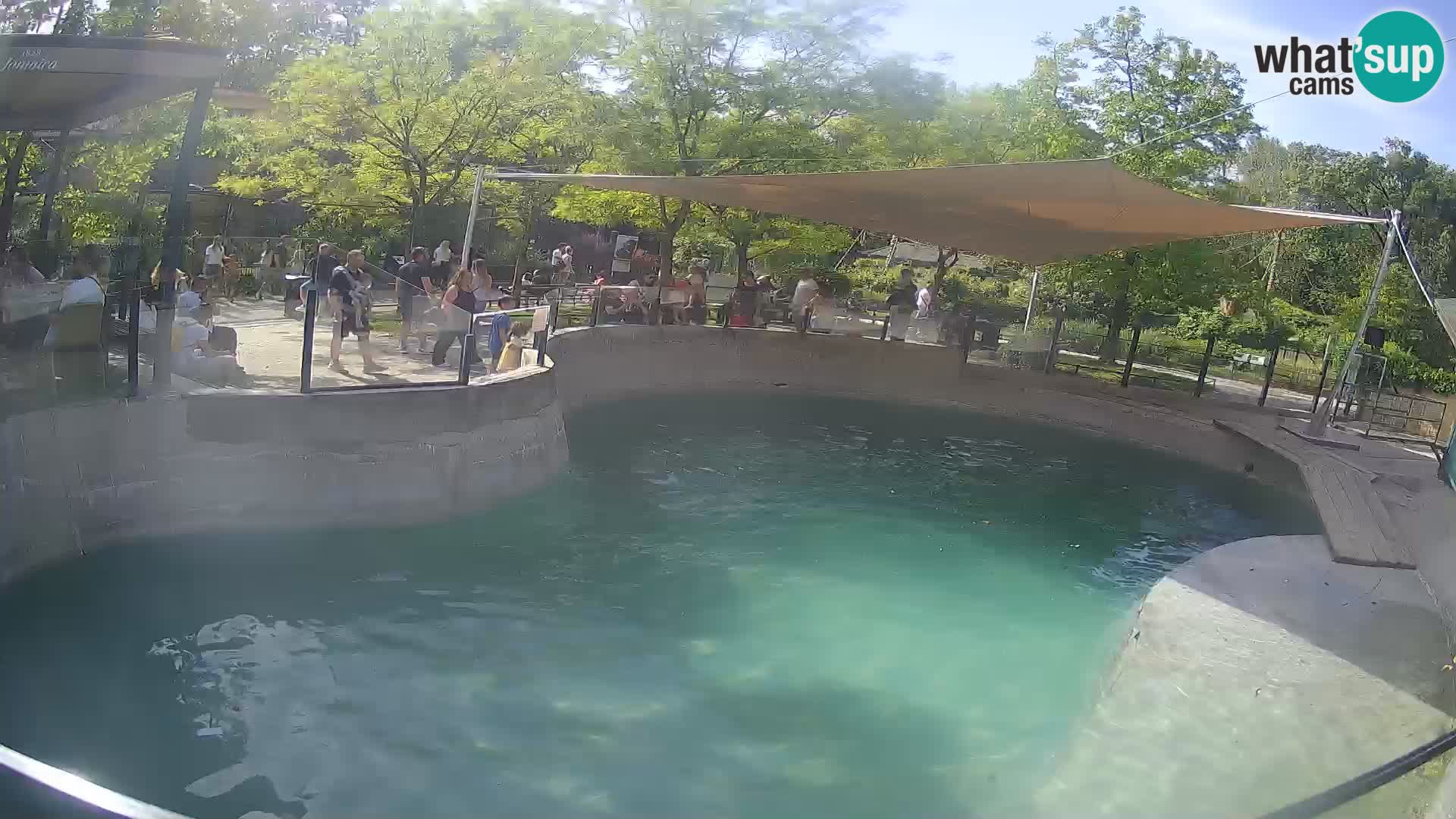 Zoo Zagreb – Kalifornijski morski lev