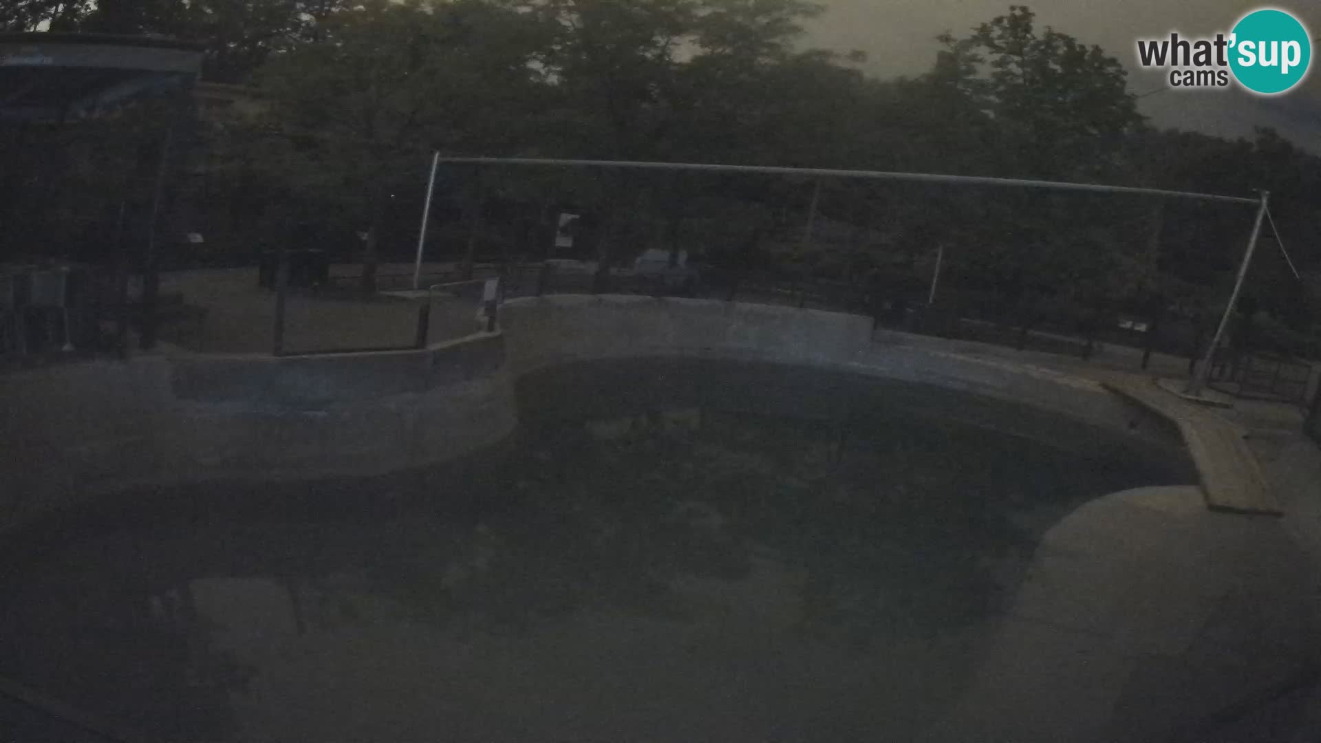 Zoo Zagreb – Kalifornijski morski lav