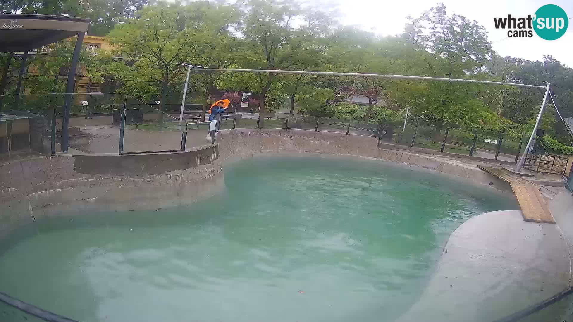 Zoo Zagreb – Kalifornijski morski lev