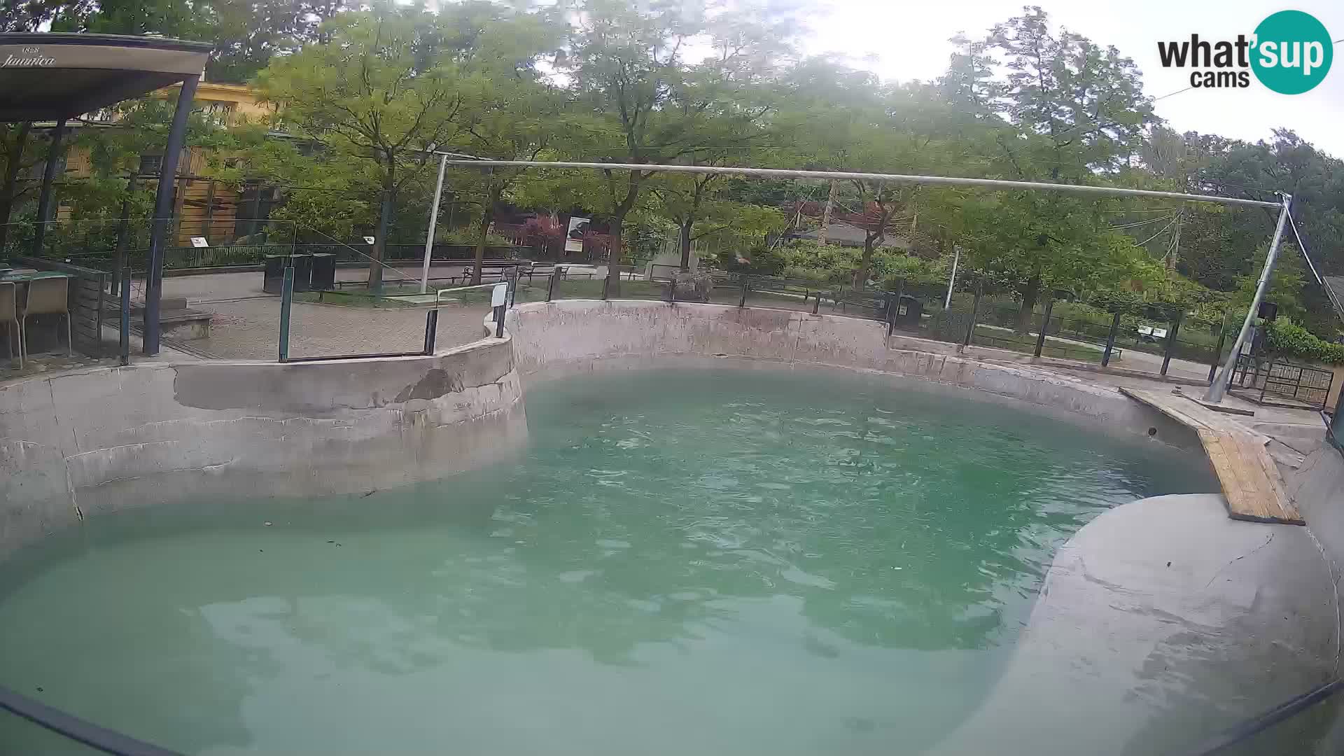 Zoo Zagreb – Kalifornijski morski lav