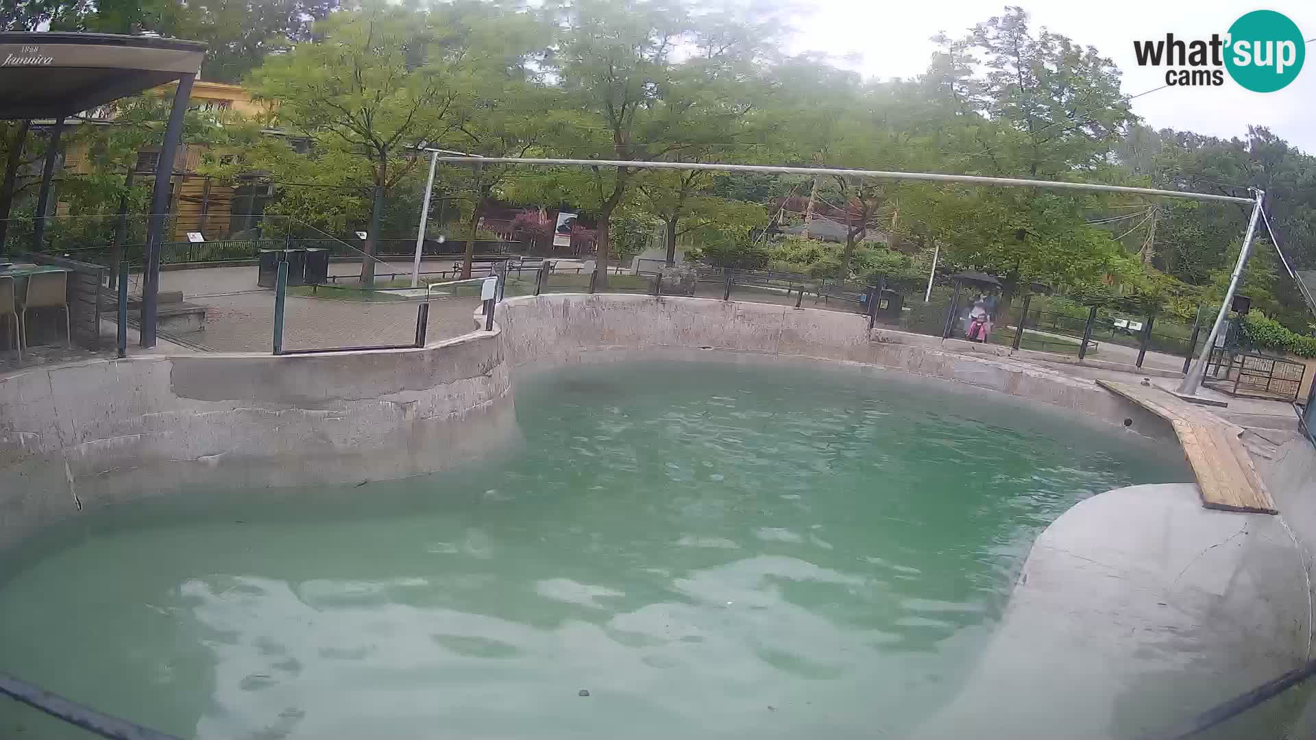 Zoo Zagreb – California Sea Lion