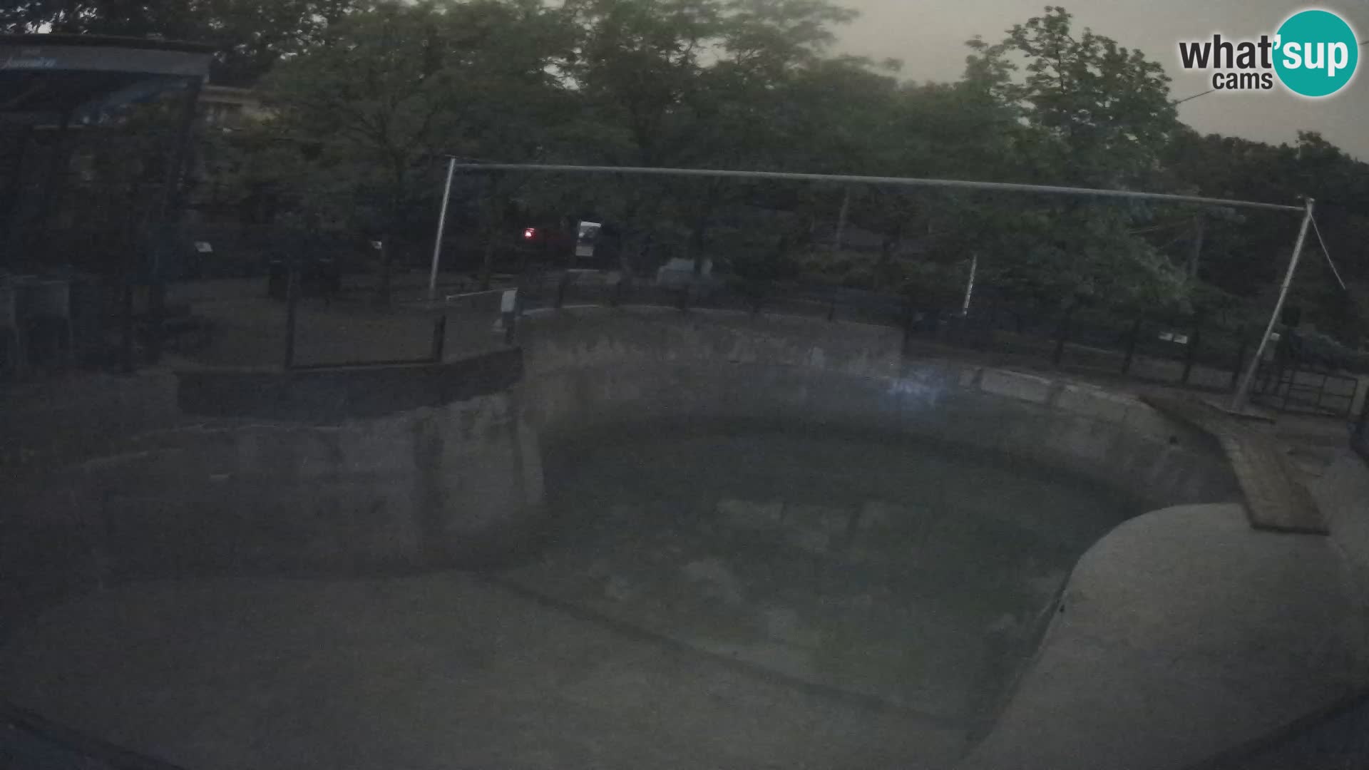 Zoo Zagreb – Kalifornijski morski lav