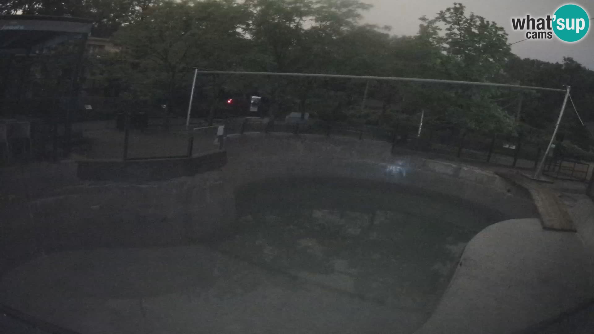 Zoo Zagreb – Kalifornijski morski lav