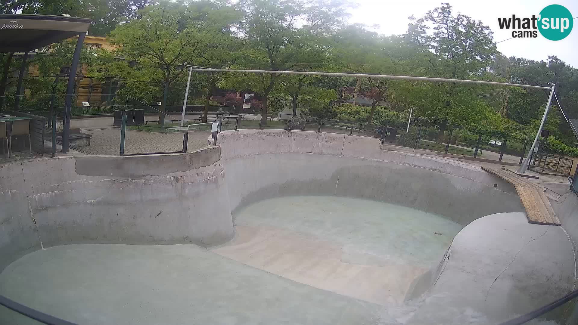 Zoo Zagreb – Kalifornijski morski lev