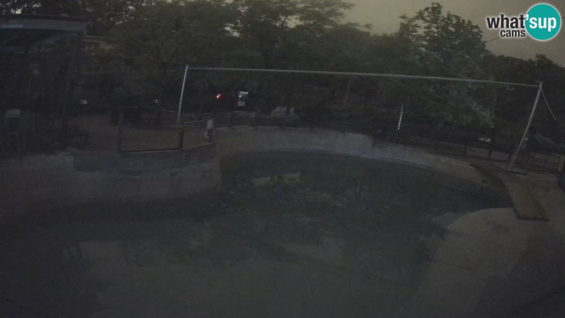 Zoo Zagreb – Kalifornijski morski lav