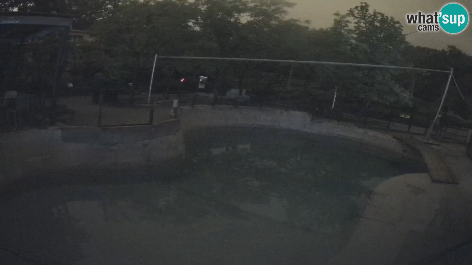 Zoo Zagreb – Kalifornijski morski lav