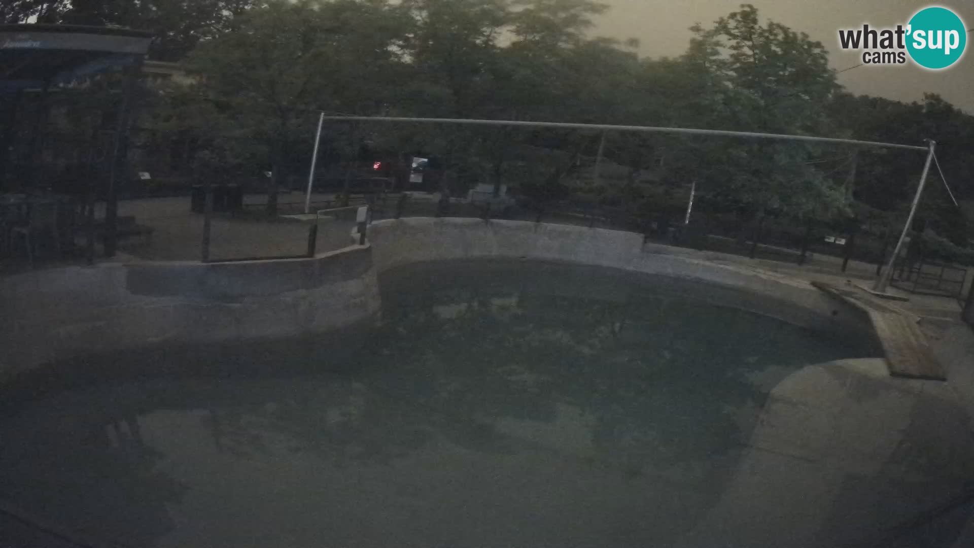 Zoo Zagreb – Kalifornijski morski lev