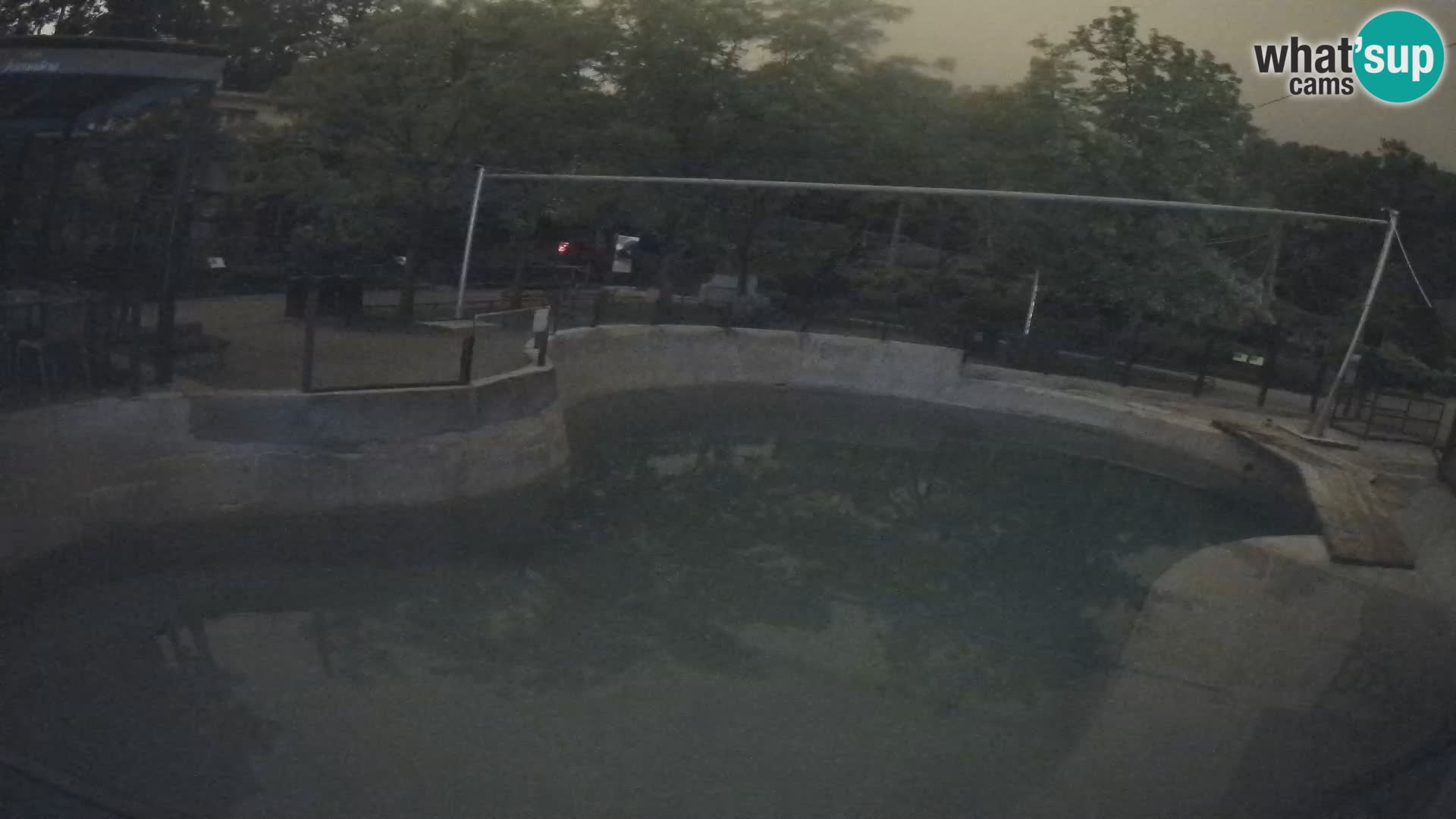 Zoo Zagreb – Kalifornijski morski lav
