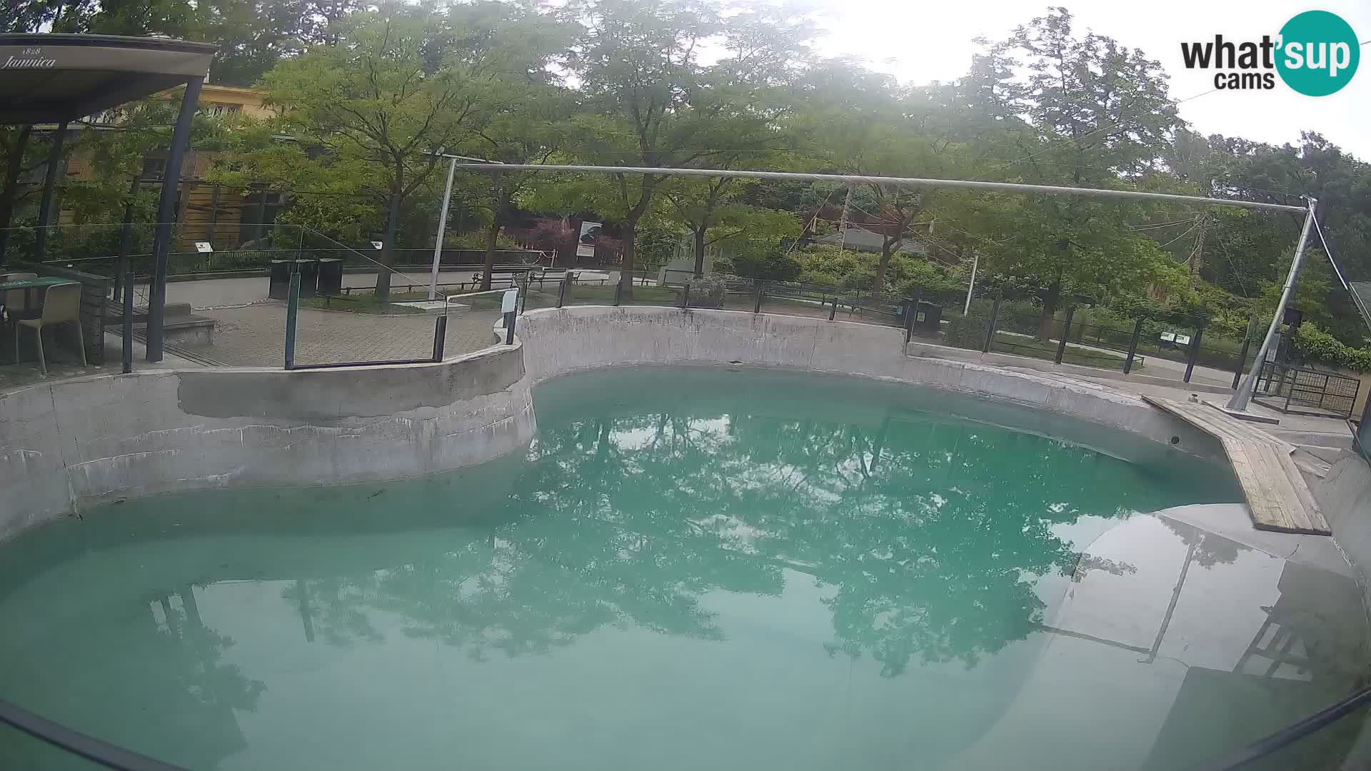 Zoo Zagreb – Kalifornischer Seelöwe