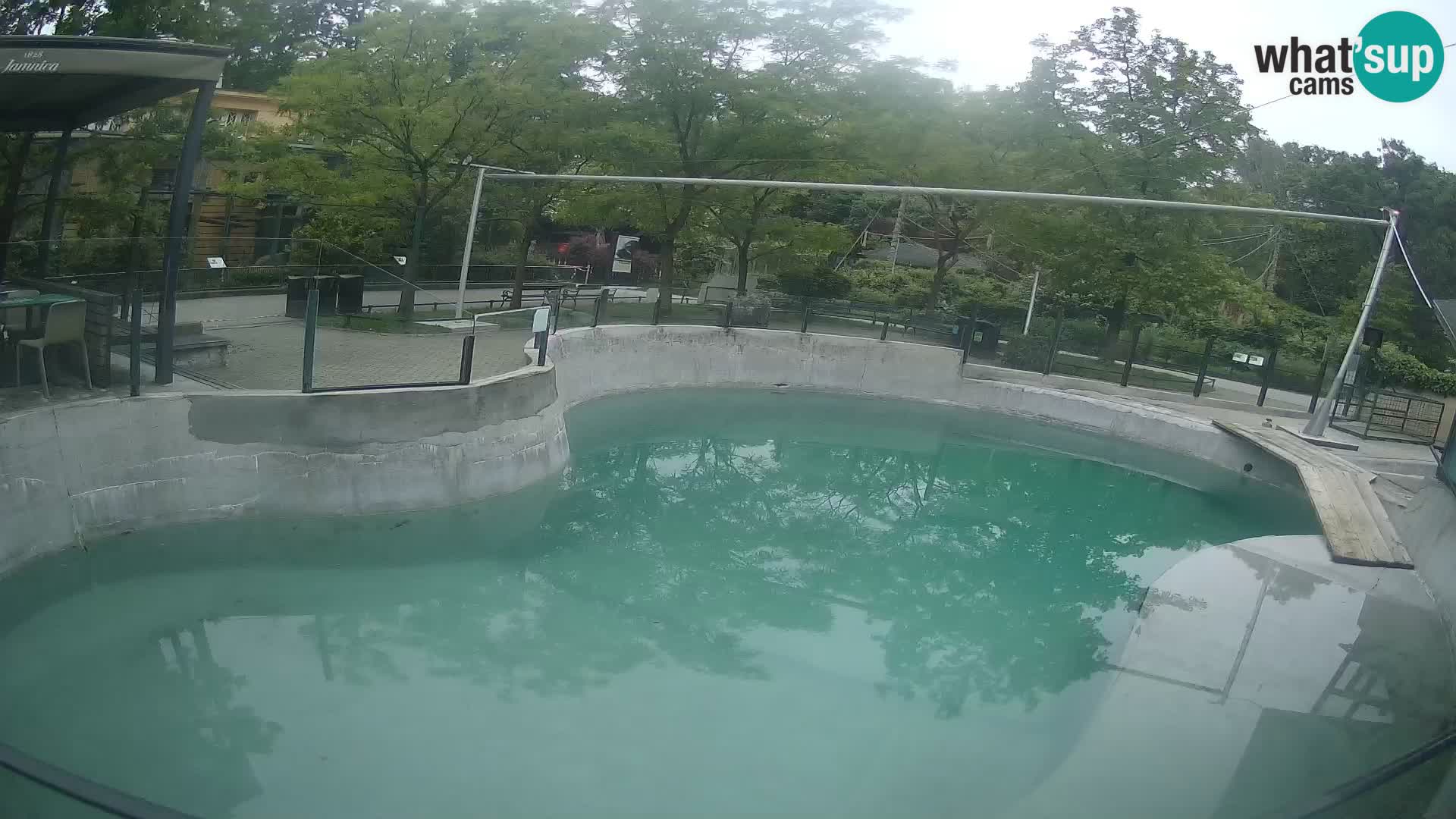Zoo Zagreb – Kalifornijski morski lav