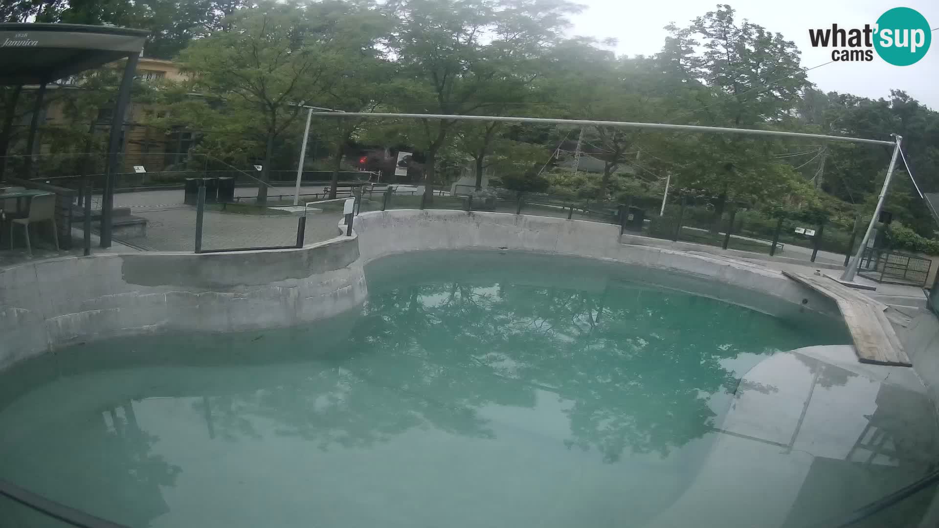 Zoo Zagreb – Kalifornijski morski lev