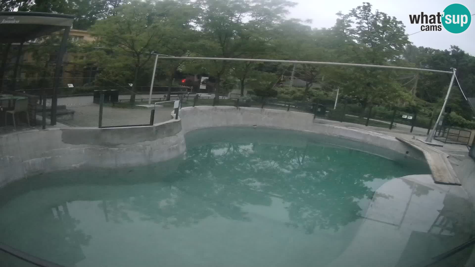 Zoo Zagreb – Kalifornijski morski lev