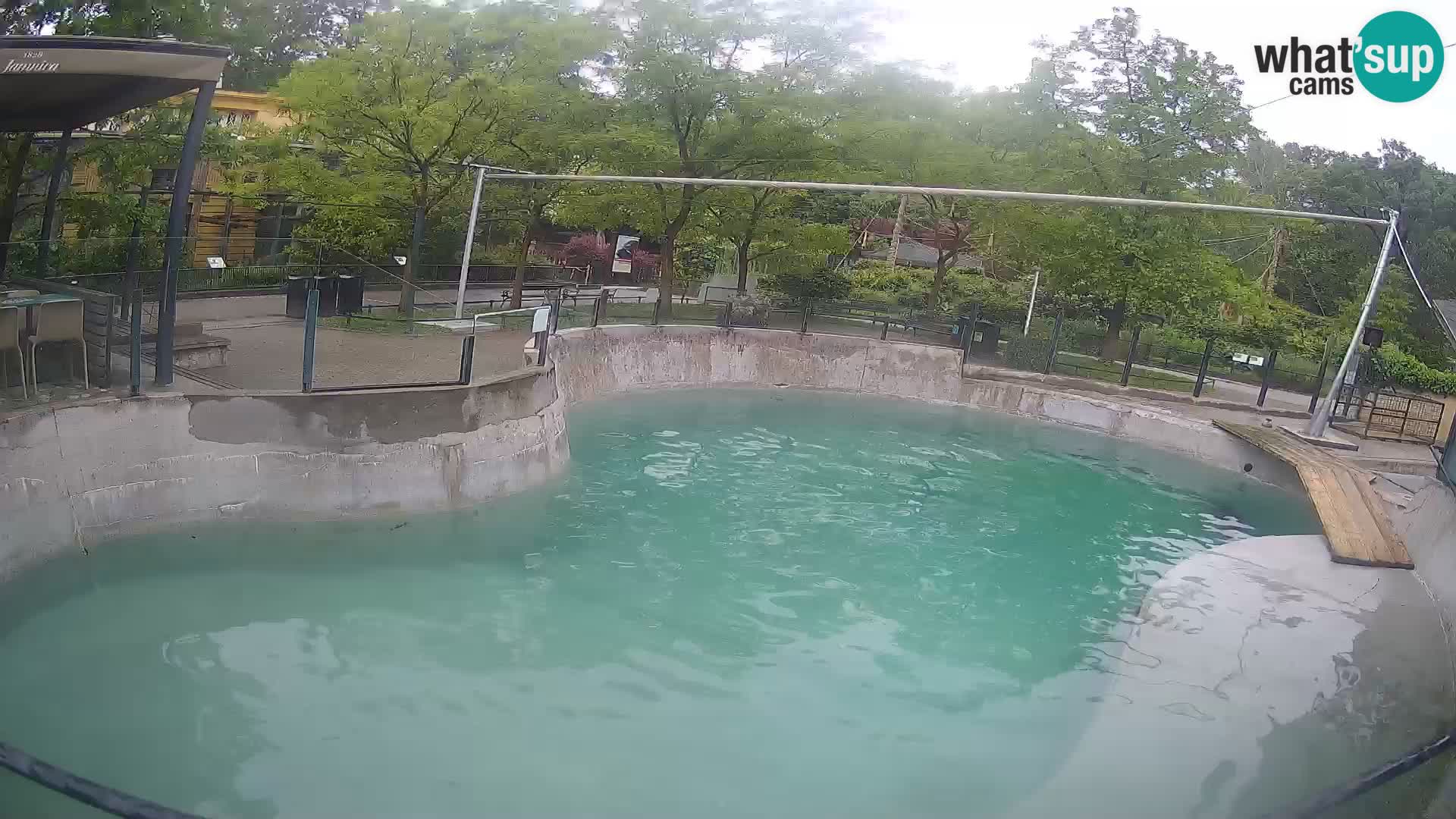 Zoo Zagreb – Kalifornijski morski lev
