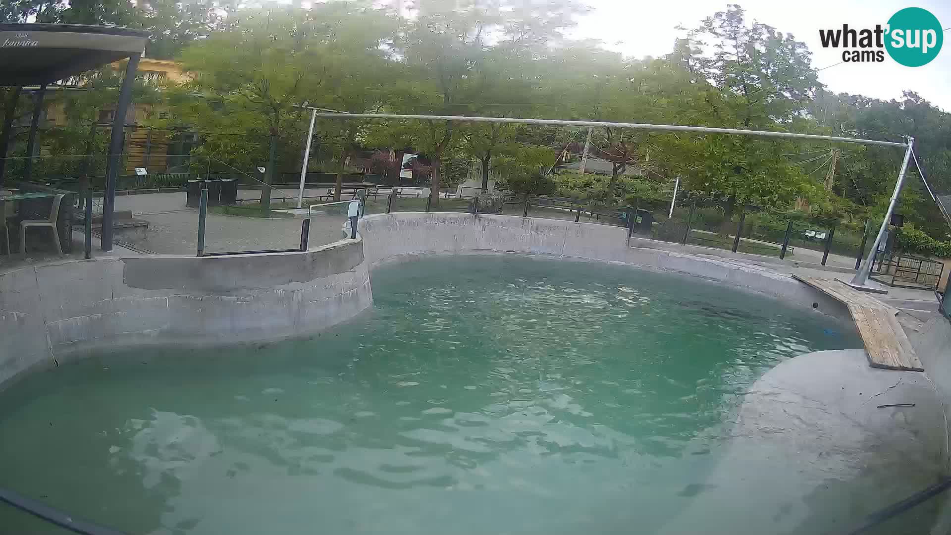 Zoo Zagreb – Kalifornijski morski lav