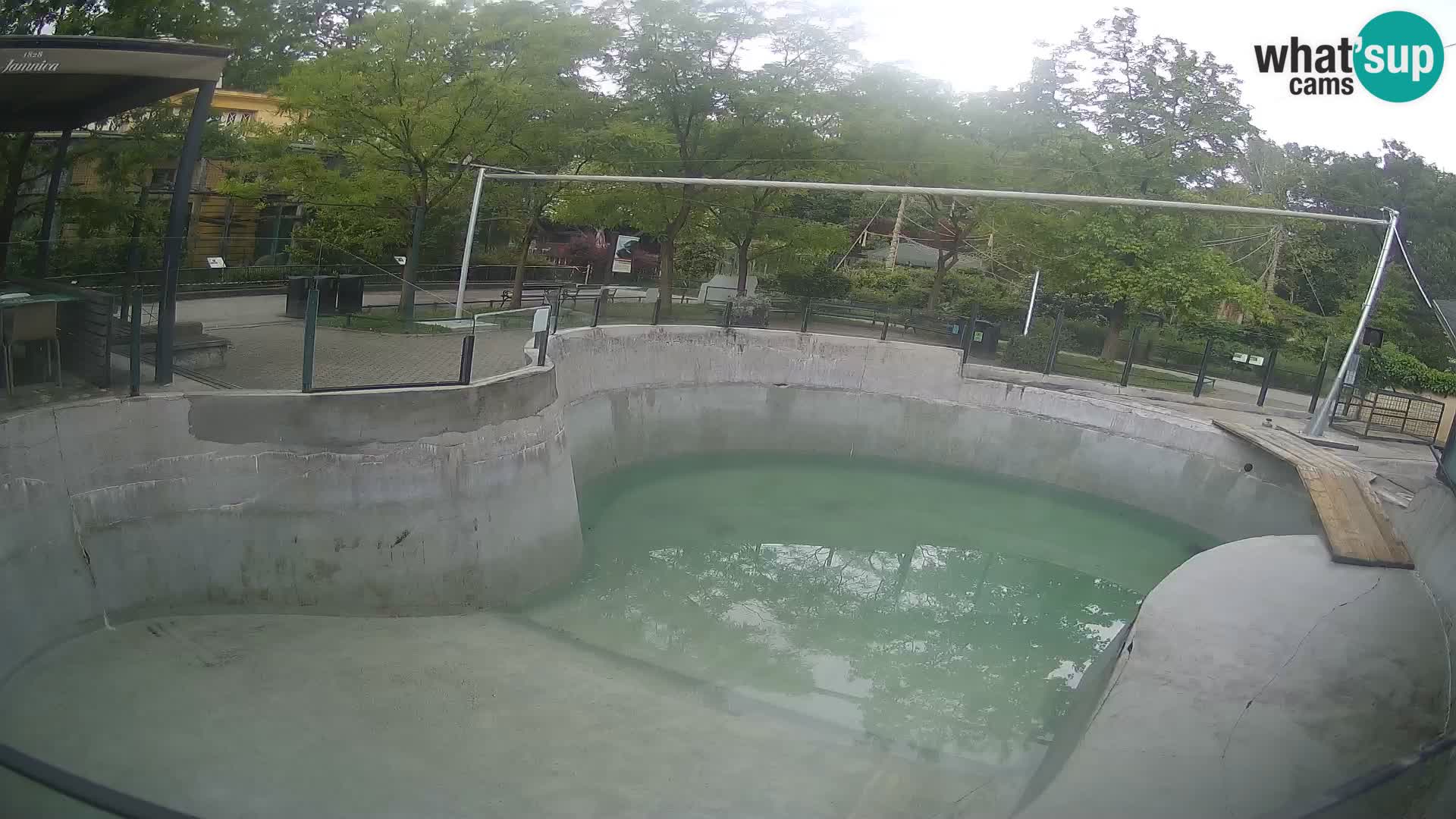 Zoo Zagreb – Kalifornijski morski lav