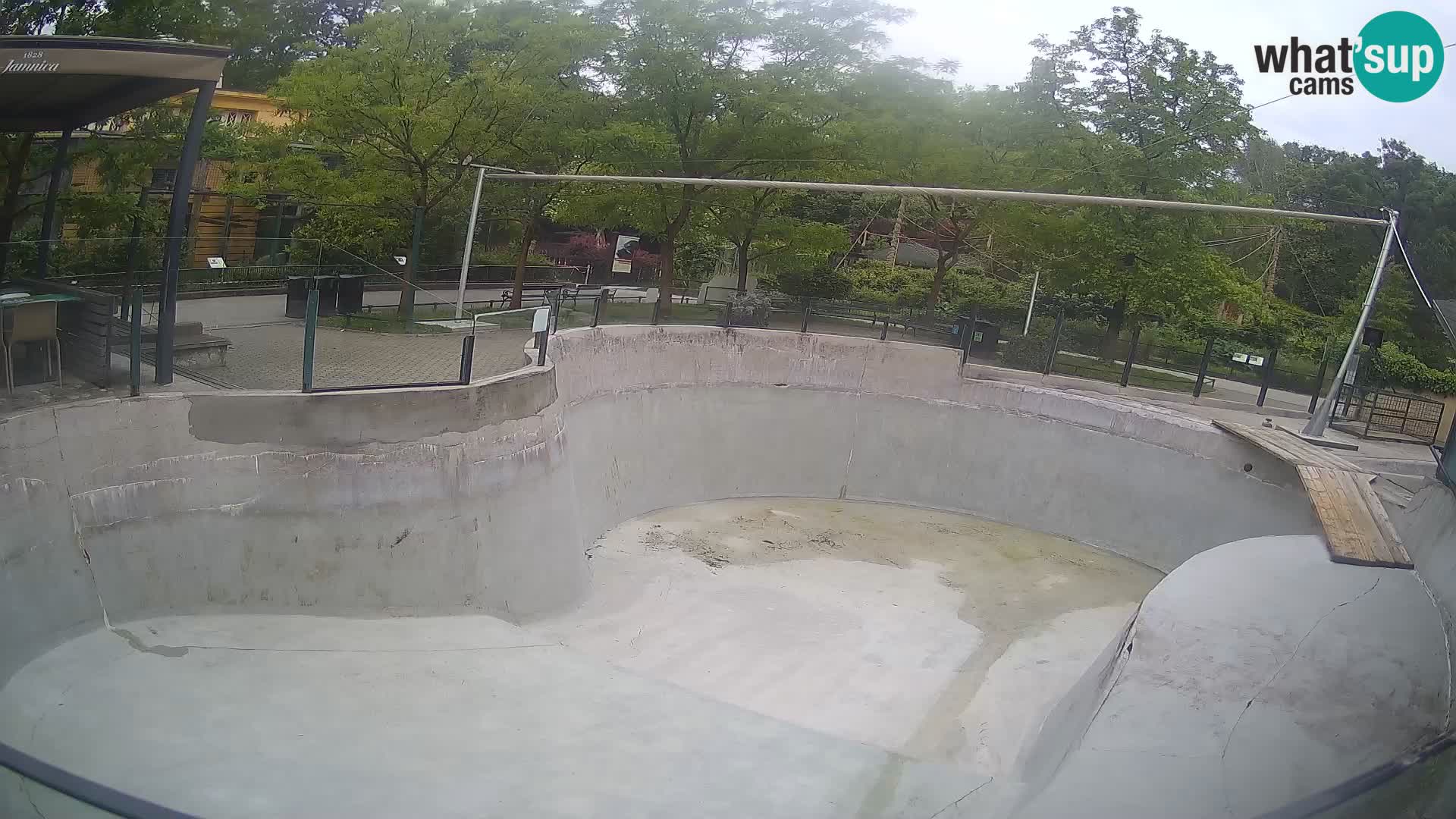 Zoo Zagreb – Kalifornijski morski lev