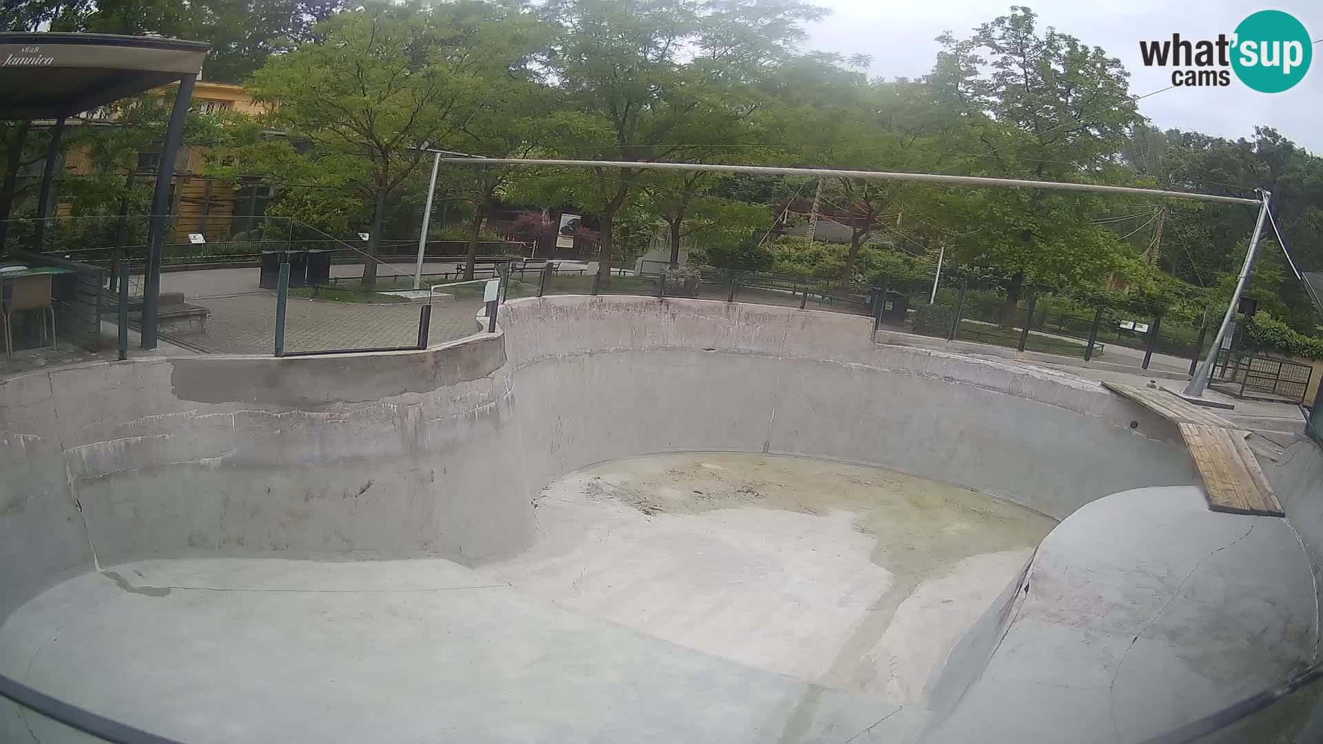 Zoo Zagreb – Kalifornijski morski lev