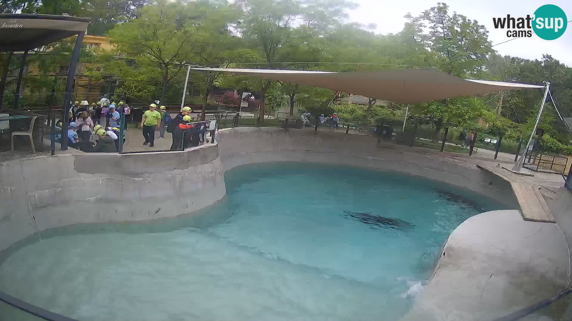 Zoo Zagreb – Kalifornischer Seelöwe