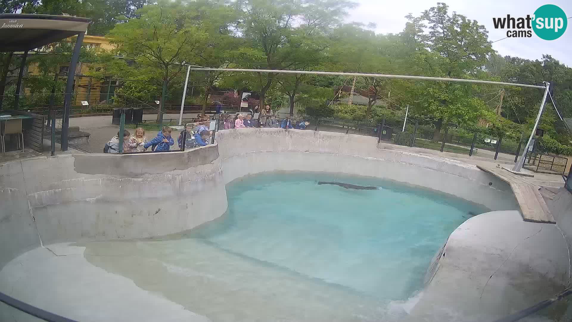 Zoo Zagreb – Kalifornijski morski lev