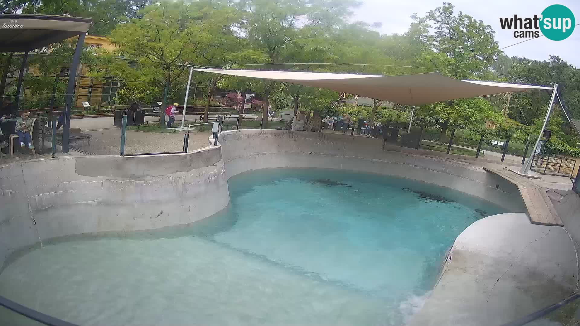 Zoo Zagreb – California Sea Lion