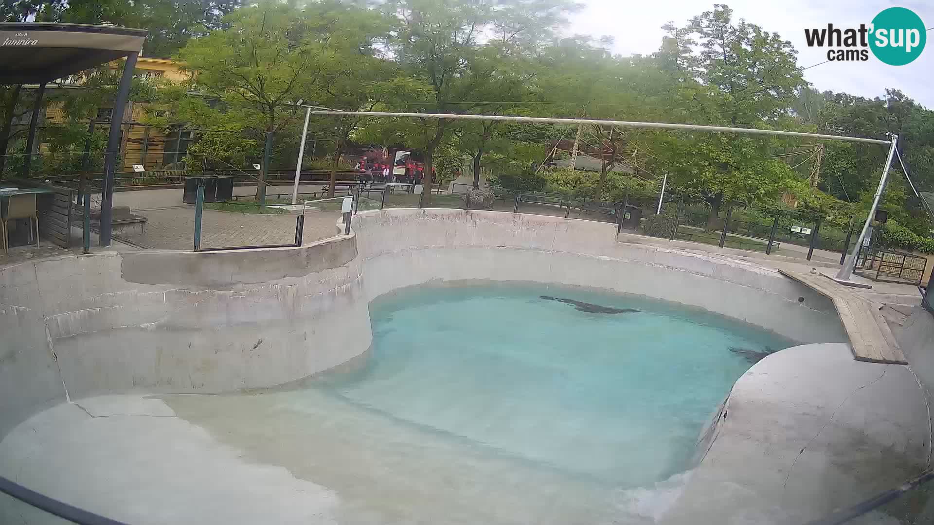 Zoo Zagreb – Otarie de Californie