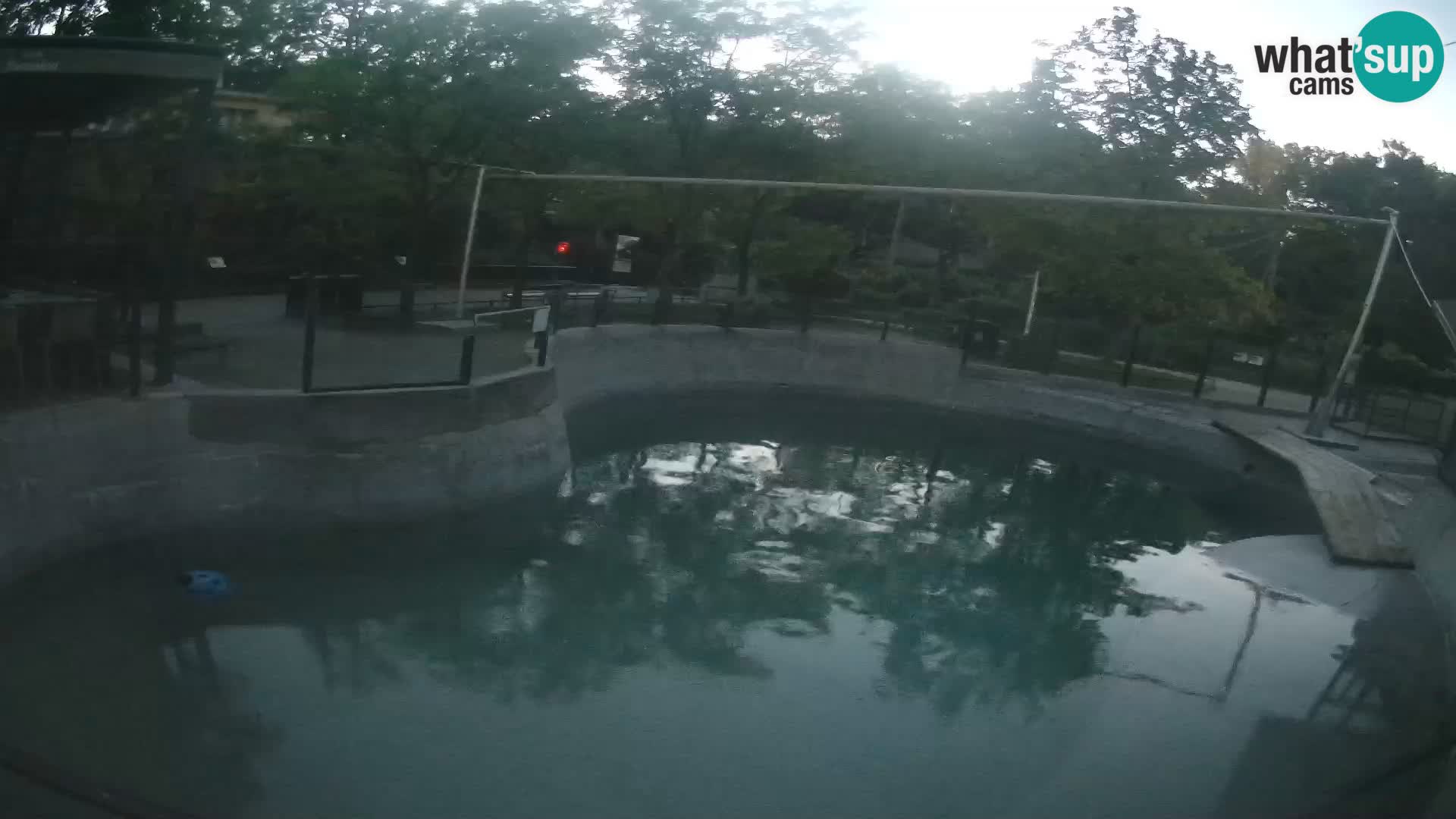 Zoo Zagreb – Kalifornijski morski lev