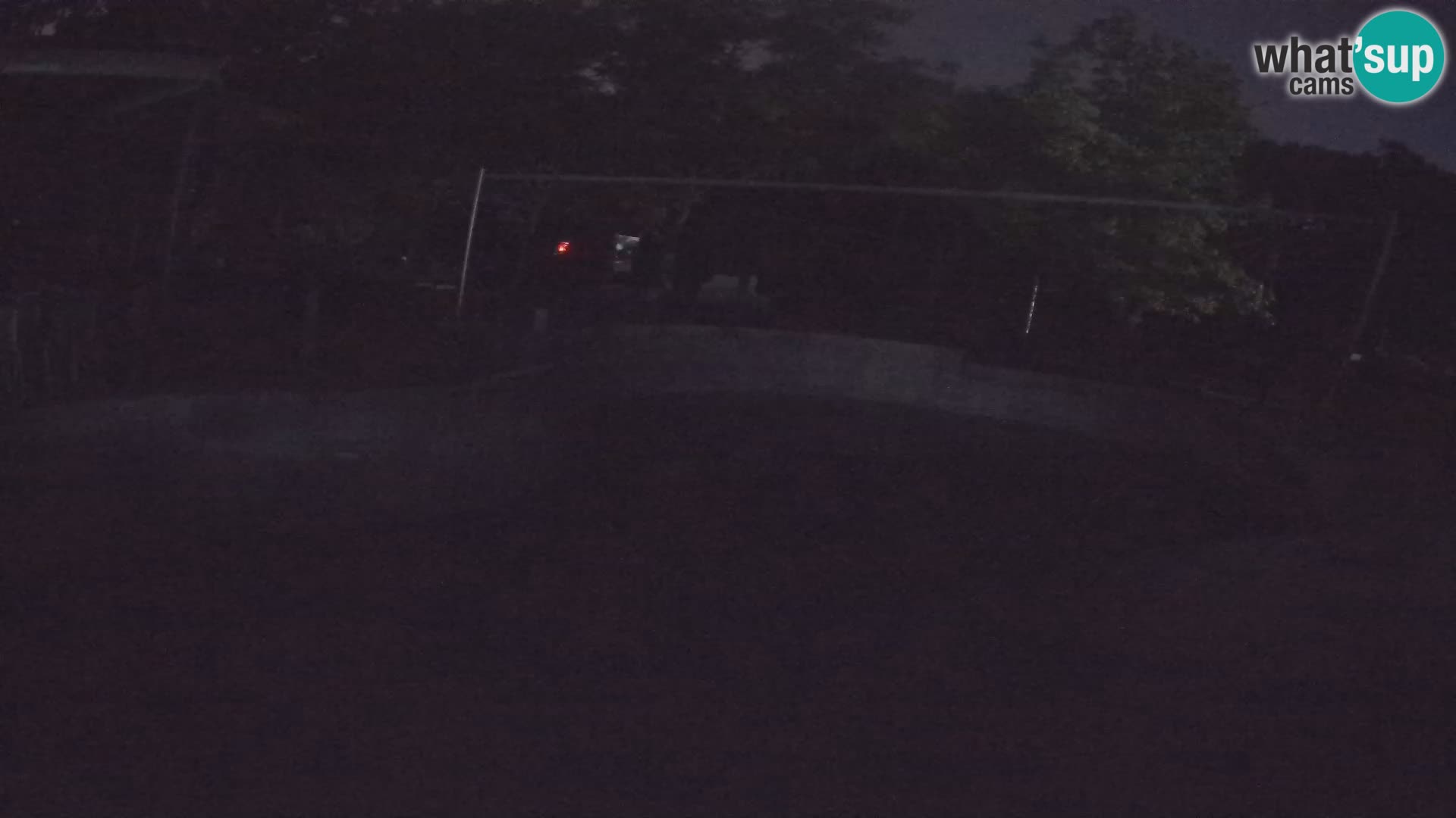 Zoo Zagreb – Kalifornijski morski lav
