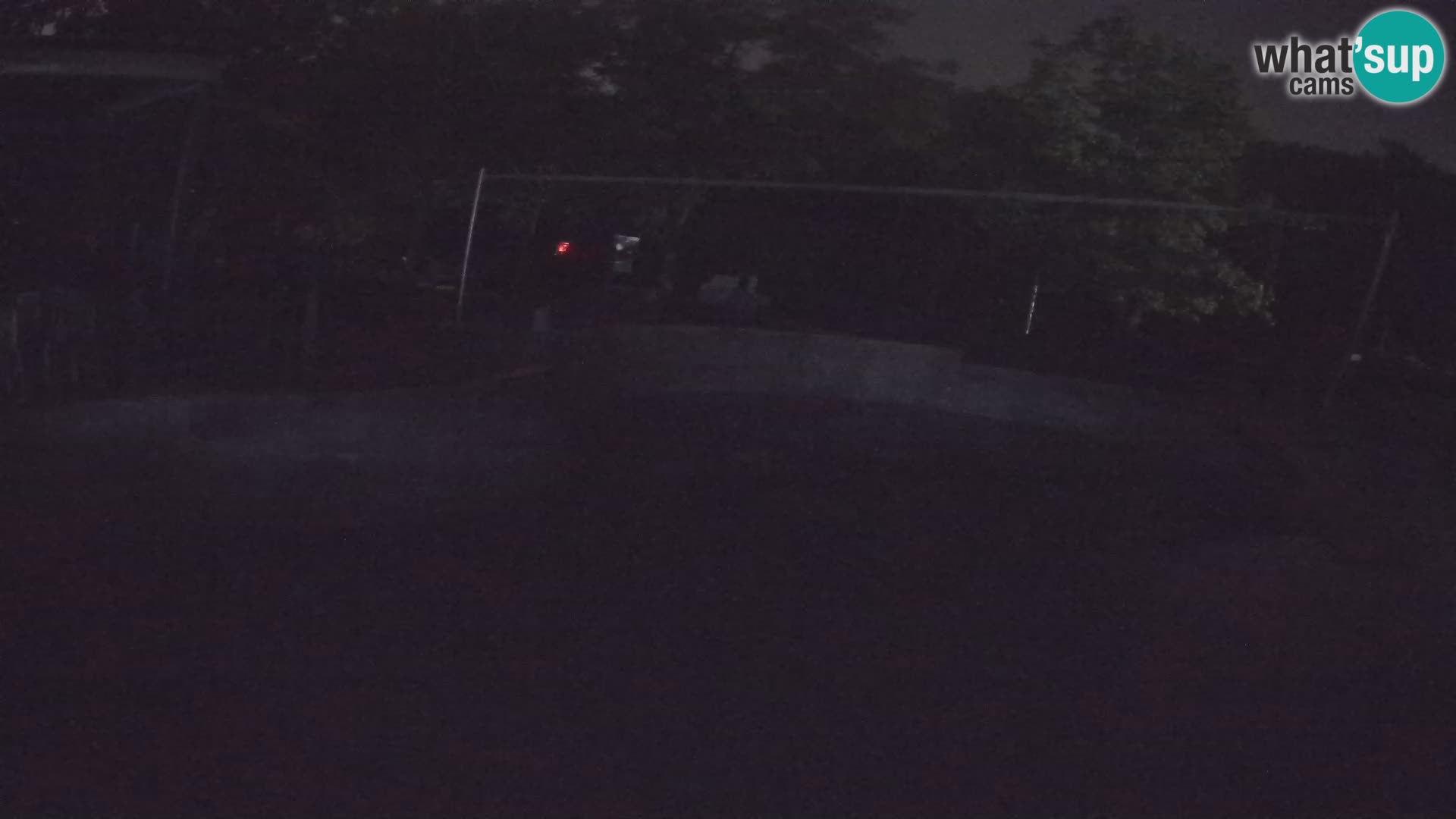 Zoo Zagreb – Kalifornijski morski lav