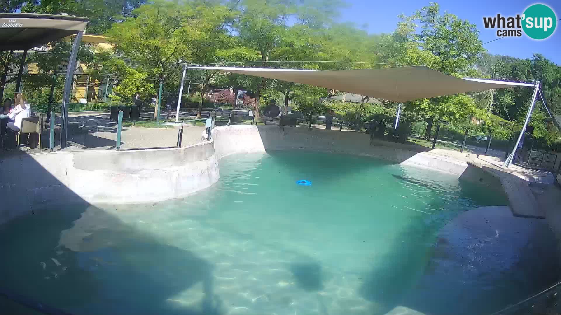 Zoo Zagreb – Kalifornijski morski lev