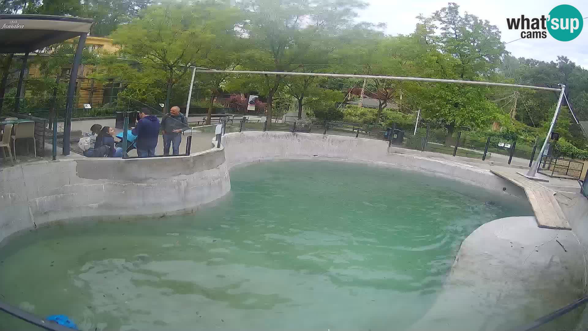 Zoo Zagreb –  León marino de California
