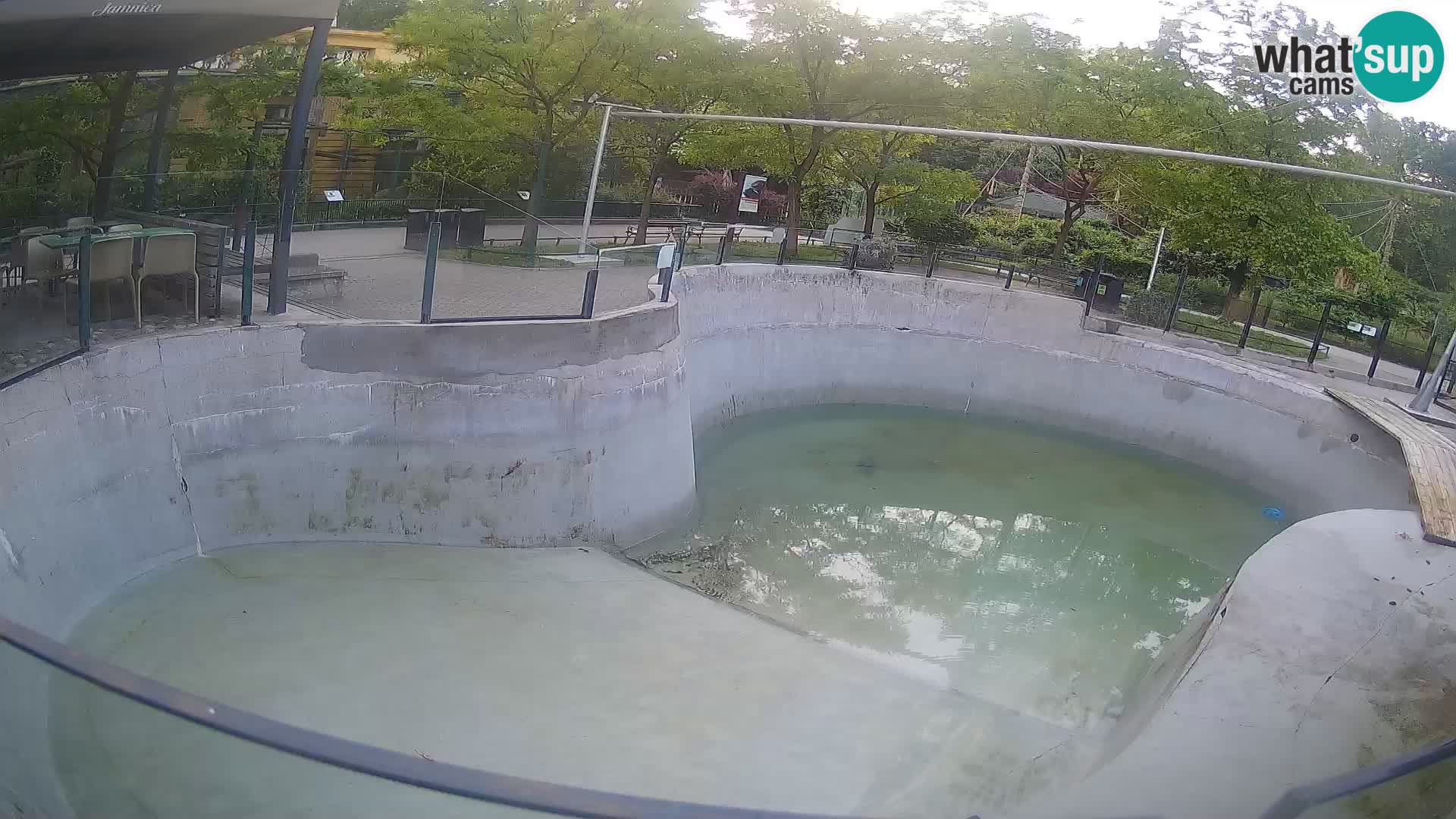 Zoo Zagreb – Kalifornischer Seelöwe
