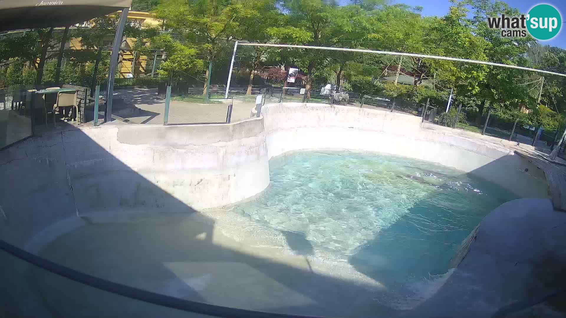 Zoo Zagreb – Kalifornijski morski lev